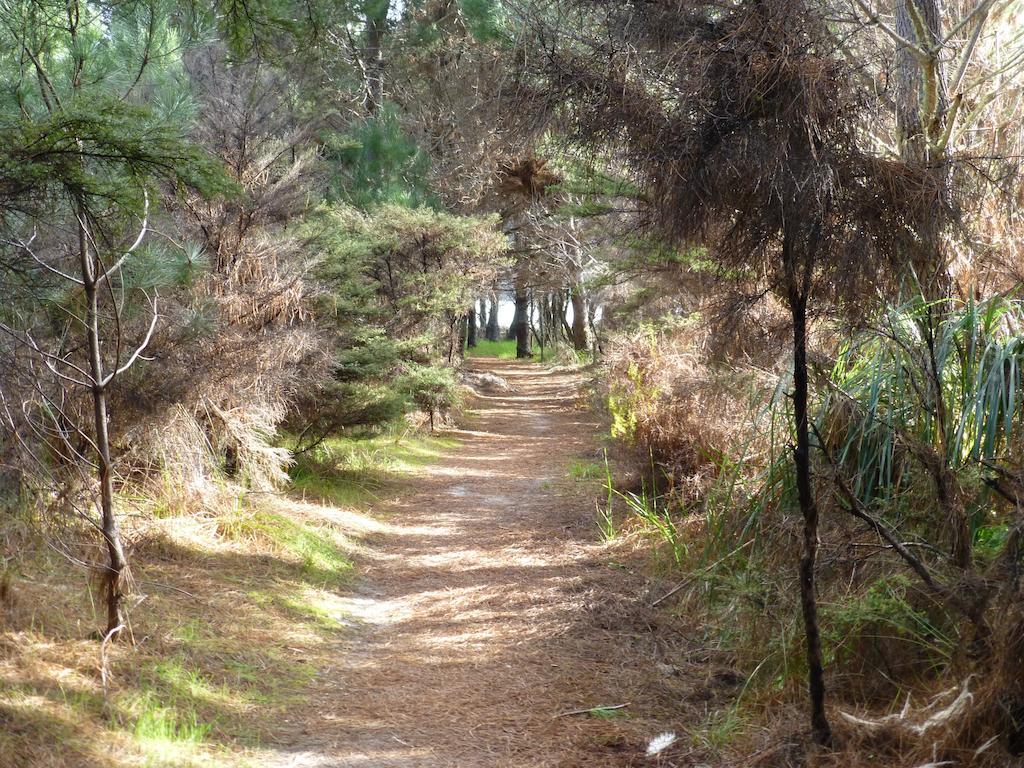 Harbour Drive B&B Matarangi Εξωτερικό φωτογραφία